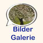 Bildergalerie